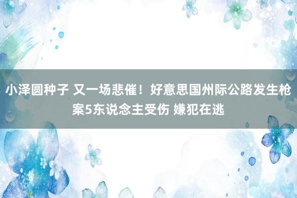 小泽圆种子 又一场悲催！好意思国州际公路发生枪案5东说念主受伤 嫌犯在逃
