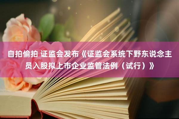 自拍偷拍 证监会发布《证监会系统下野东说念主员入股拟上市企业监管法例（试行）》