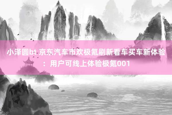 小泽圆bt 京东汽车市欢极氪刷新看车买车新体验：用户可线上体验极氪001