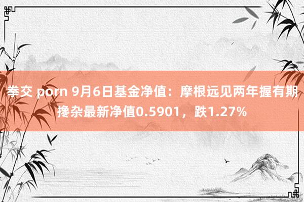 拳交 porn 9月6日基金净值：摩根远见两年握有期搀杂最新净值0.5901，跌1.27%