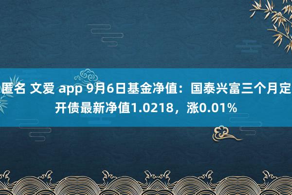 匿名 文爱 app 9月6日基金净值：国泰兴富三个月定开债最新净值1.0218，涨0.01%