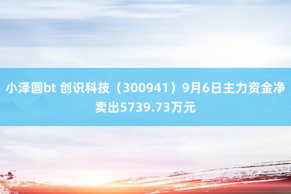 小泽圆bt 创识科技（300941）9月6日主力资金净卖出5739.73万元