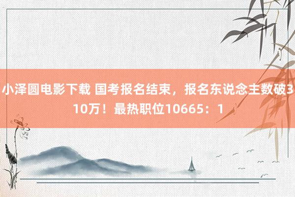 小泽圆电影下载 国考报名结束，报名东说念主数破310万！最热职位10665：1