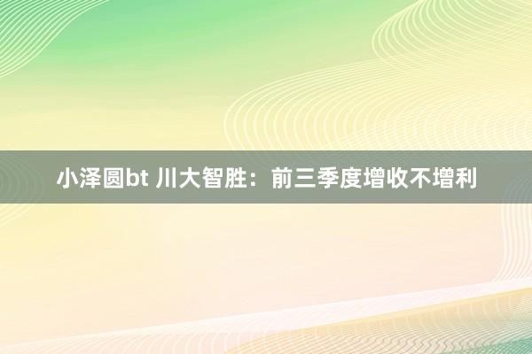 小泽圆bt 川大智胜：前三季度增收不增利