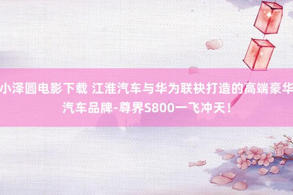 小泽圆电影下载 江淮汽车与华为联袂打造的高端豪华汽车品牌-尊界S800一飞冲天！