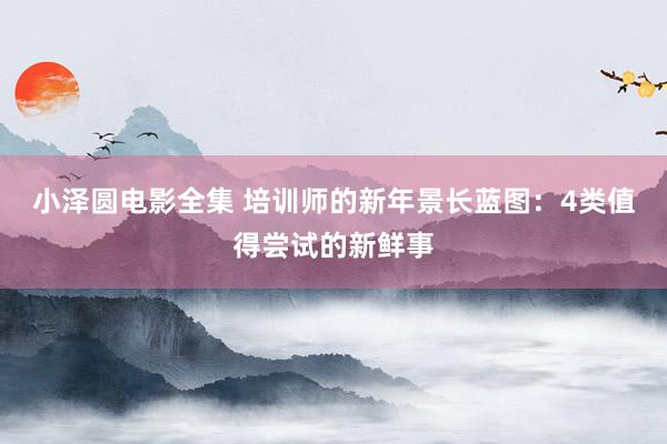 小泽圆电影全集 培训师的新年景长蓝图：4类值得尝试的新鲜事