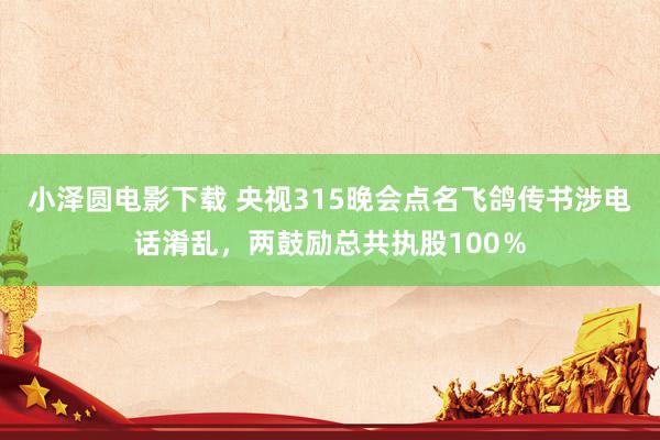 小泽圆电影下载 央视315晚会点名飞鸽传书涉电话淆乱，两鼓励总共执股100％