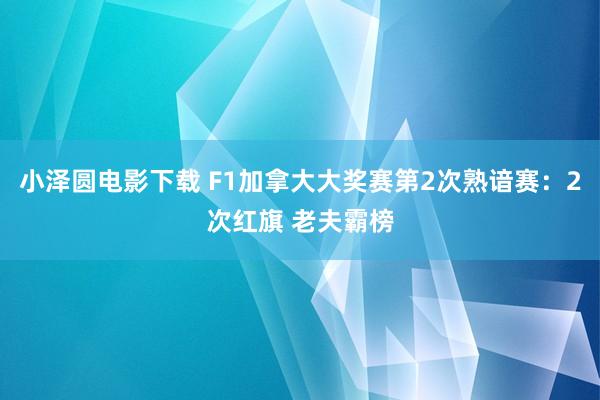 小泽圆电影下载 F1加拿大大奖赛第2次熟谙赛：2次红旗 老夫霸榜