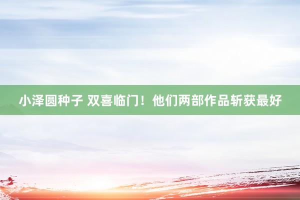 小泽圆种子 双喜临门！他们两部作品斩获最好