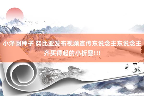 小泽圆种子 努比亚发布视频宣传东说念主东说念主齐买得起的小折叠!!!