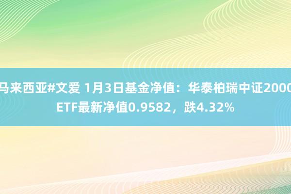 马来西亚#文爱 1月3日基金净值：华泰柏瑞中证2000ETF最新净值0.9582，跌4.32%