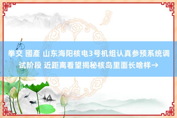 拳交 國產 山东海阳核电3号机组认真参预系统调试阶段 近距离看望揭秘核岛里面长啥样→