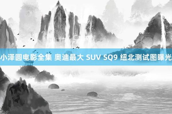小泽圆电影全集 奥迪最大 SUV SQ9 纽北测试图曝光