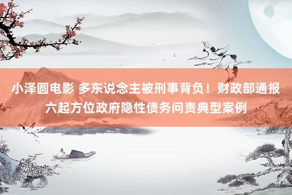 小泽圆电影 多东说念主被刑事背负！财政部通报六起方位政府隐性债务问责典型案例