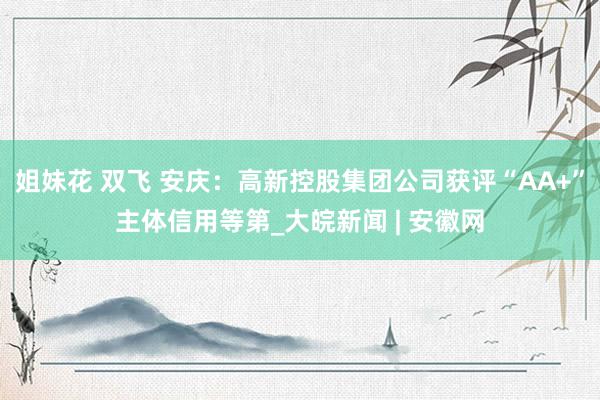 姐妹花 双飞 安庆：高新控股集团公司获评“AA+”主体信用等第_大皖新闻 | 安徽网