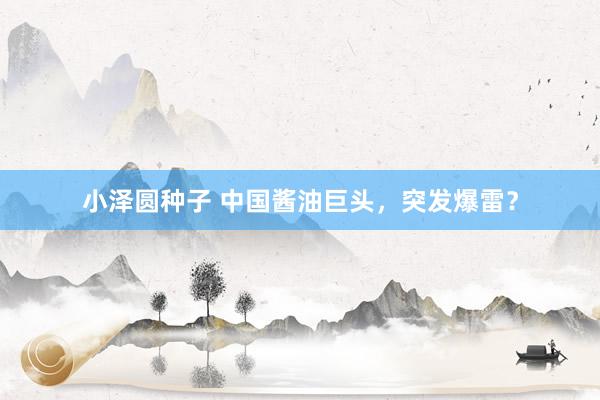 小泽圆种子 中国酱油巨头，突发爆雷？