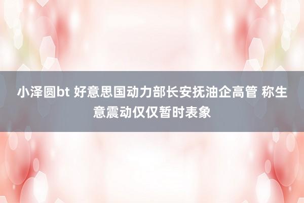 小泽圆bt 好意思国动力部长安抚油企高管 称生意震动仅仅暂时表象
